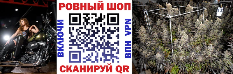 Где купить наркоту Сосновый Бор ГАШ  Каннабис  Cocaine  OMG ТОР  Меф мяу мяу 