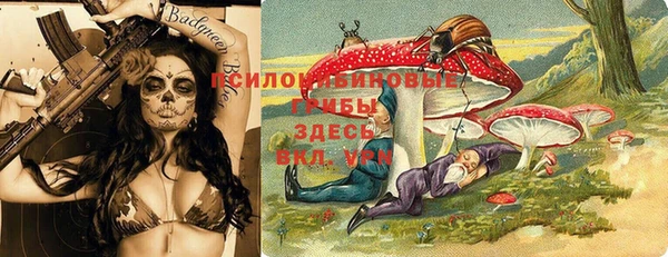 молекула духа Лагань