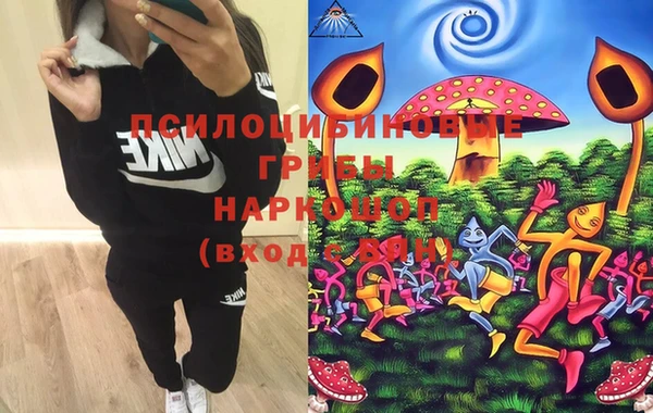 хмурый Липки