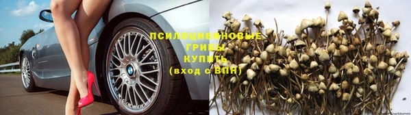 МДПВ Ладушкин