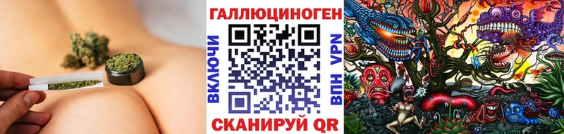 Псилоцибиновые грибы мицелий Сосновый Бор