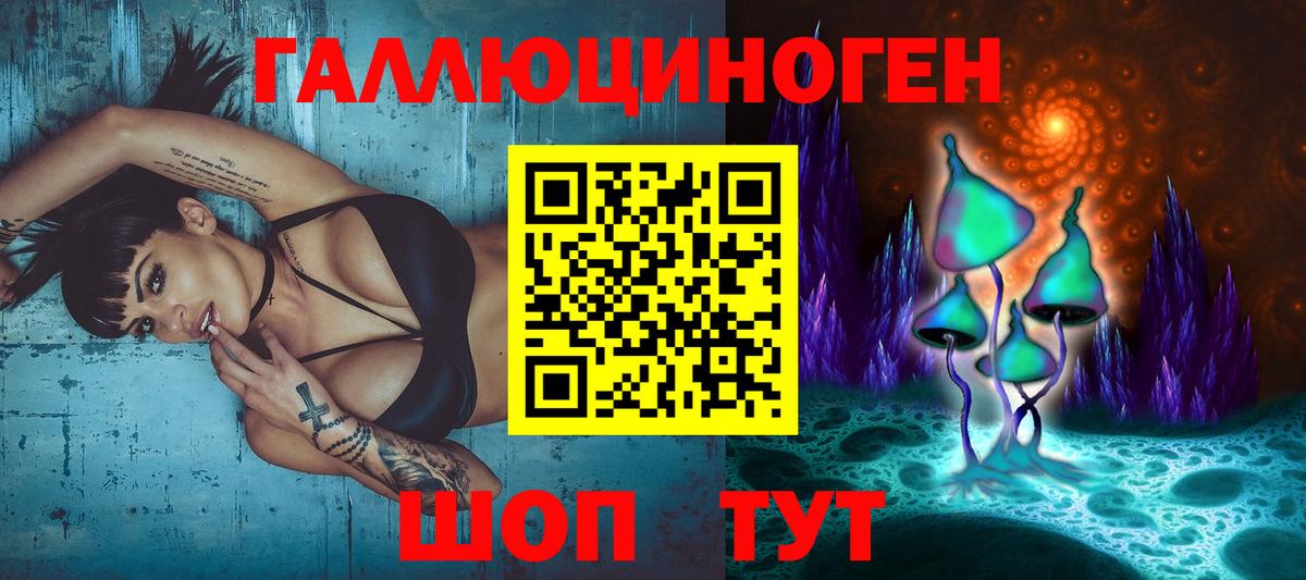 Сосновый Бор  Псилоцибиновые грибы Cubensis  Вход с VPN  Псилоцибиновые грибы мухоморы 