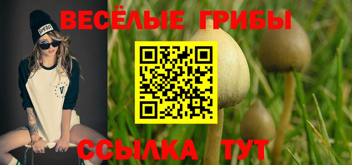 Галлюциногенные грибы ЛСД  Сосновый Бор 