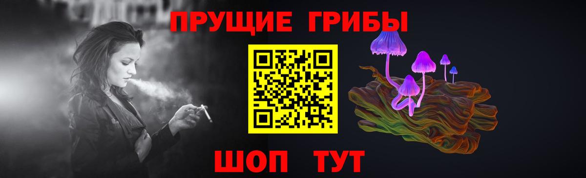 Галлюциногенные грибы прущие грибы Сосновый Бор