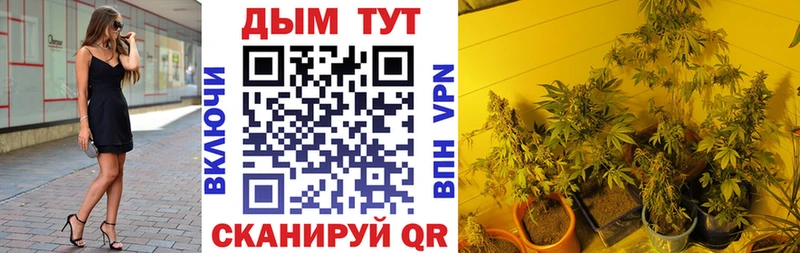 МАРИХУАНА сатива Сосновый Бор